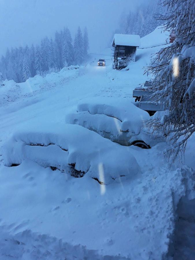 Landhaus Christl Mühlbach am Hochkönig エクステリア 写真